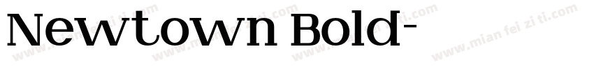 Newtown Bold字体转换